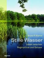 Stille Wasser di Bruno P. Kremer edito da wbg Theiss