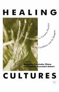 Healing Cultures: Art and Religion as Curative Practices in the Caribbean and Its Diaspora di Na Na edito da SPRINGER NATURE