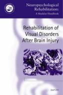 Rehabilitation Of Visual Disorders After Brain Injury di Josef Zihl edito da Taylor & Francis Ltd