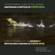 A Photographic Guide of the Common Amphibians & Reptiles of Costa Rica/ Guia Fotografica de Los Anfibios y Reptiles Mas  di Savador Colv Nebot edito da EDICIONES RODENO