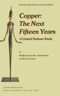 Copper: The Next Fifteen Years di W. Gluschke, J. Shaw, B. Varon edito da Springer Netherlands