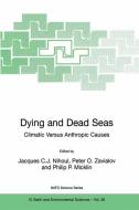 Dying and Dead Seas Climatic Versus Anthropic Causes edito da Springer Netherlands
