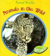 Animals in the Wild di Sue Barraclough edito da Raintree