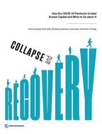 Collapse And Recovery di Norbert Schady, Alaka Holla, Shwetlena Sabarwal, Joana Silva, Andres Yi Chang edito da World Bank Publications