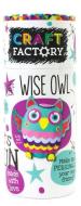 Craft Factory Wise Owl di Parragon Books Ltd edito da Parragon