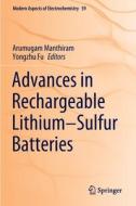 Advances in Rechargeable Lithium¿Sulfur Batteries edito da Springer International Publishing