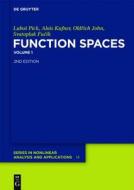 Function Spaces, Volume 1 di Lubo Pick, Alois Kufner, Oldirch John edito da Walter de Gruyter
