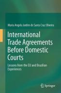 International Trade Agreements Before Domestic Courts di Maria Angela Jardim de Santa Cruz Oliveira edito da Springer-Verlag GmbH
