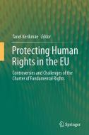 Protecting Human Rights in the EU edito da Springer-Verlag GmbH