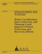 Endagered Sea Turtles: Better Coordination, Data Collection, and Planning Could Improve Federal Protection and Recovering Efforts di Government Accountability Office (U S ), Government Accountability Office edito da Createspace