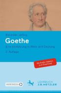 Goethe di Benedikt Jeßing edito da Metzler Verlag, J.B.