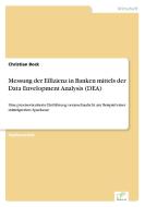 Messung der Effizienz in Banken mittels der Data Envelopment Analysis (DEA) di Christian Bock edito da Diplom.de