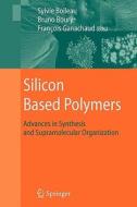 Silicon Based Polymers edito da Springer Netherlands