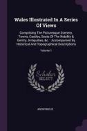 Wales Illustrated in a Series of Views: Comprising the Picturesque Scenery, Towns, Castles, Seats of the Nobility & Gent di Anonymous edito da CHIZINE PUBN