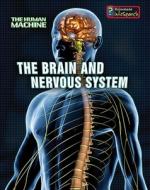 The Brain and Nervous System di Richard Spilsbury edito da Heinemann Library