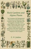 Rock Gardens and Alpine Plants di E. H. Jenkins edito da Saerchinger Press