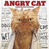 Angry Cat Calendar edito da Willow Creek Press