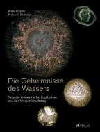 Die Geheimnisse des Wassers di Bernd Kröplin, Regine C. Henschel edito da AT Verlag