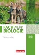 Fachwerk Biologie. 5./6. Schuljahr - Sachsen-Anhalt - Schülerbuch edito da Cornelsen Verlag GmbH