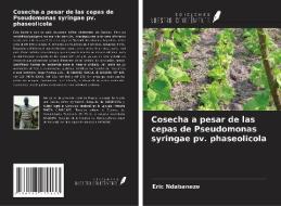 Cosecha a pesar de las cepas de Pseudomonas syringae pv. phaseolicola di Eric Ndabaneze edito da Ediciones Nuestro Conocimiento