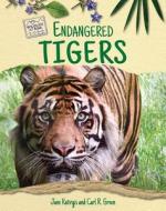 Endangered Tigers di Jane Katirgis edito da Enslow Publishing