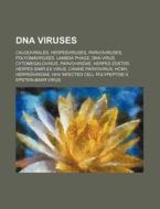 Dna Viruses: Caudovirales, Herpesviruses di Source Wikipedia edito da Books LLC, Wiki Series