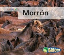 Marron = Brown di Nancy Harris edito da Heinemann Library