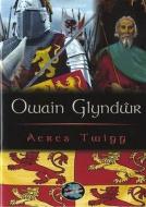 Cyfres Cip Ar Gymru / Wonder Wales: Owain Glyndwr di Aeres Twigg edito da Gomer Press