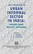 Job Creation in Urban Informal Sector in India: Issues and Policy Options edito da INTL LABOUR OFFICE