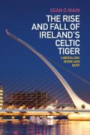 The Rise and Fall of Ireland's Celtic Tiger di Seán Ó Riain edito da Cambridge University Press