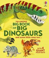 Big Book of Big Dinosaurs di Alex Frith edito da USBORNE BOOKS