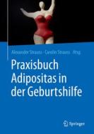 Praxisbuch Adipositas in der Geburtshilfe edito da Springer-Verlag GmbH