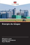 Énergie du biogaz di Misgana Lami, Meseret Chimdessa, Kiya Mesfin edito da Editions Notre Savoir