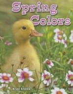 Spring Colors di Brian Enslow edito da Enslow Elementary