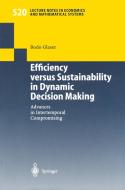 Efficiency versus Sustainability in Dynamic Decision Making di Bodo Glaser edito da Springer Berlin Heidelberg