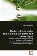 Photosynthetic water oxidation in high plants and micro algae di Sabina Isgandarova edito da VDM Verlag