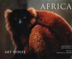 Africa di Art Wolfe edito da Vintage Publishing