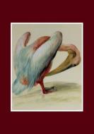 Carnet Ligne, Pelican di Aubriet-C edito da Hachette Livre - Bnf