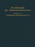 Zur Sicherheit des Dampfkesselbetriebes edito da Springer Berlin Heidelberg