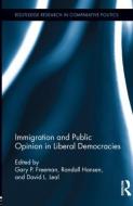 Immigration and Public Opinion in Liberal Democracies edito da Taylor & Francis Ltd