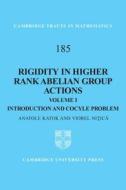 Rigidity in Higher Rank Abelian Group Actions: Volume 1, Introduction and Cocycle Problem di Anatole Katok edito da Cambridge University Press