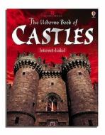 The Usborne Book Of Castles di Lesley Sims edito da Usborne Publishing Ltd