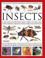 The Illustrated World Encyclopaedia of Insects di Martin Walters edito da Anness Publishing