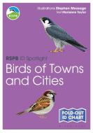 RSPB ID Spotlight - Birds Of Towns And Cities di Marianne Taylor edito da Bloomsbury Publishing PLC