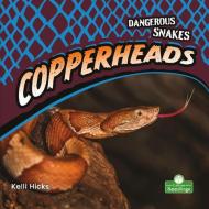 Copperheads di Kelli Hicks edito da CRABTREE SEEDLINGS