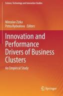 Innovation and Performance Drivers of Business Clusters edito da Springer International Publishing