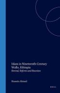Islam in Nineteenth-Century Wallo, Ethiopia: Revival, Reform and Reaction di Hussein Ahmed edito da BRILL ACADEMIC PUB