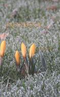 Notebook: Crocus Frozen Yellow Icy Morning Cold Meadow di Wild Pages Press edito da INDEPENDENTLY PUBLISHED