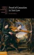 Proof of Causation in Tort Law di Sandy Steel edito da Cambridge University Press