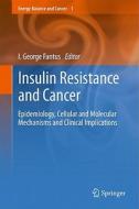 Insulin Resistance and Cancer edito da Springer-Verlag GmbH